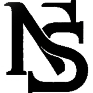 NS Computer logo